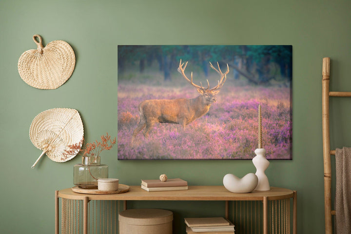 Kanva - Brieža riests, N-991 X-ART