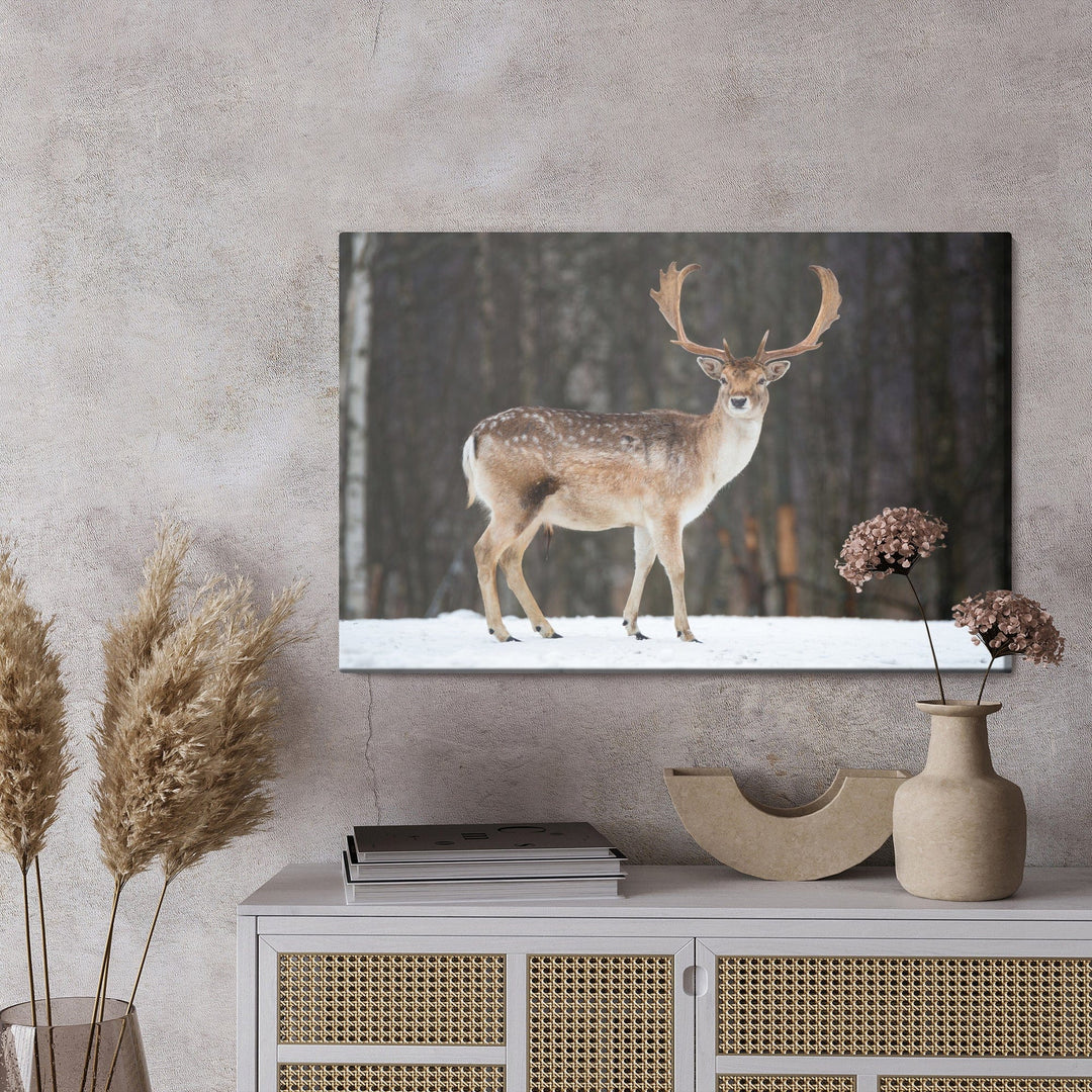 Kanva - Brieža uz koku fona, N-986 X-ART