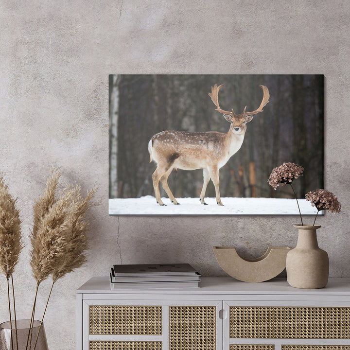 Kanva - Brieža uz koku fona, N-986 X-ART