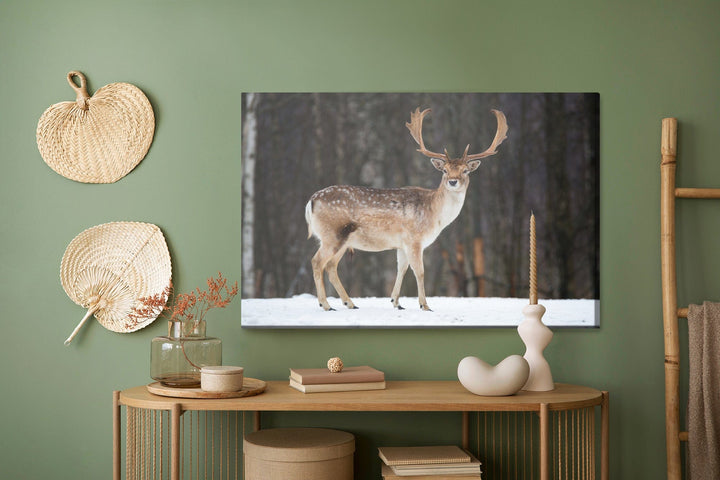 Kanva - Brieža uz koku fona, N-986 X-ART