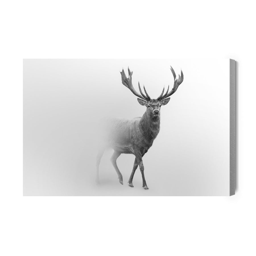 Kanva - Brieži melnā un baltā, N-745 X-ART