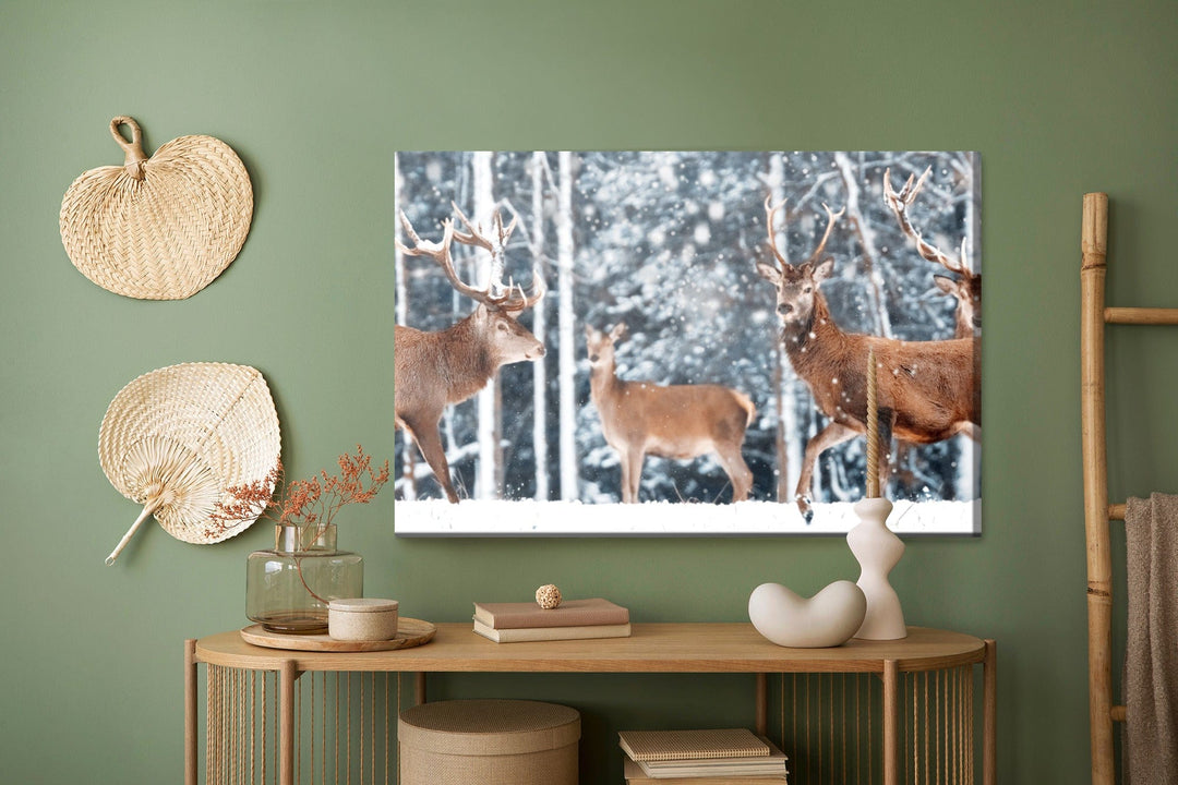 Kanva - Briežu bars ziemas mežā, N-1011 X-ART