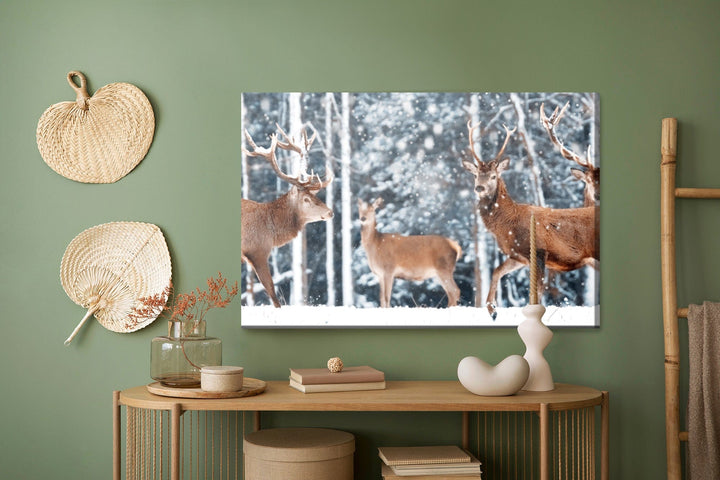 Kanva - Briežu bars ziemas mežā, N-1011 X-ART