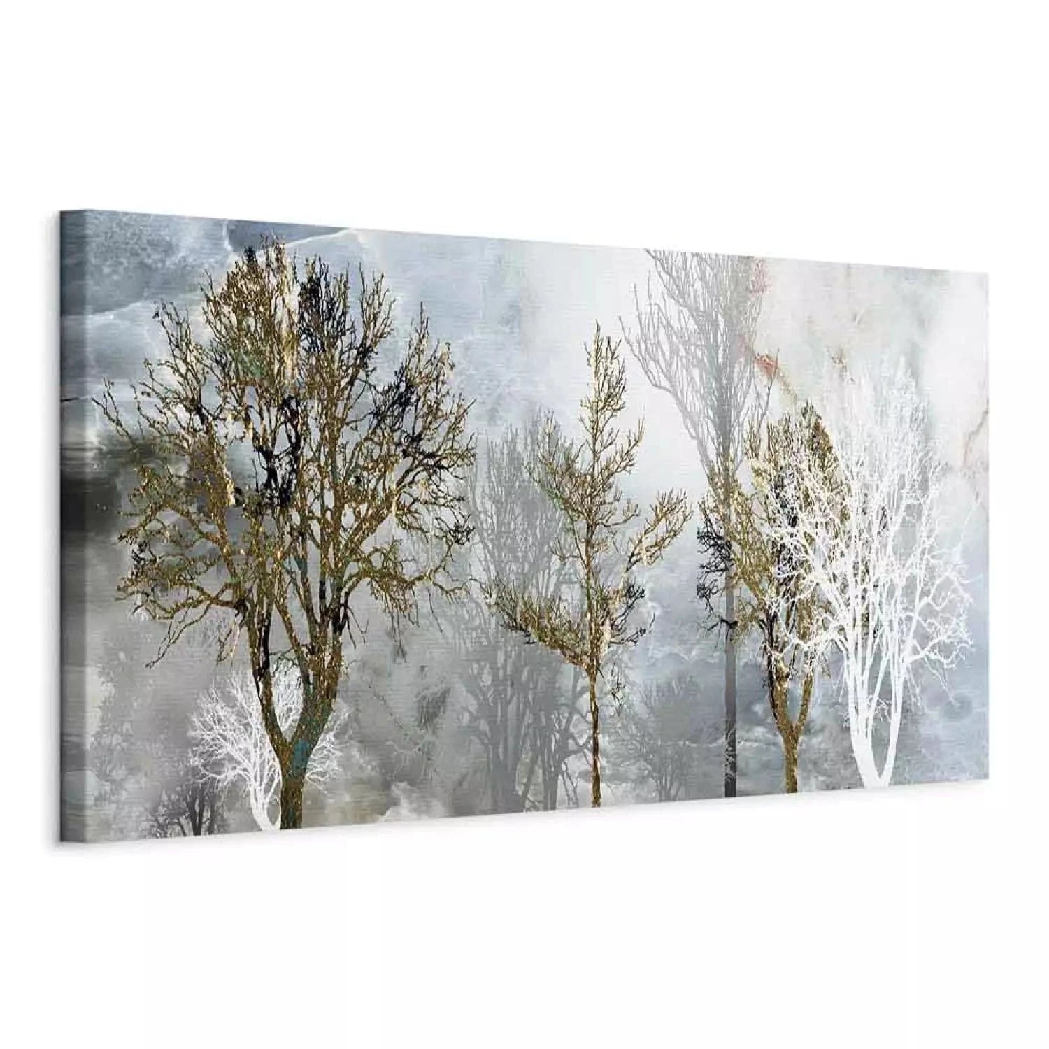 Kanva - dabas motīvs - Sudraba rīts, (x 1), pelēkos toņos, 122317 G-ART