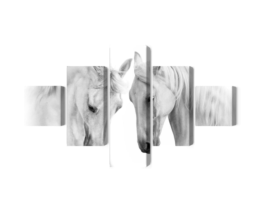 Kanva - Divi zirgi uz balta fona, N-4637 X-ART