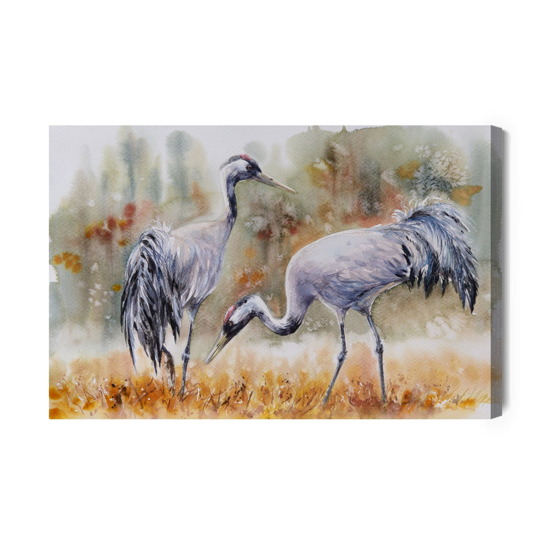 Kanva - Dzērves laukā, N-810 X-ART