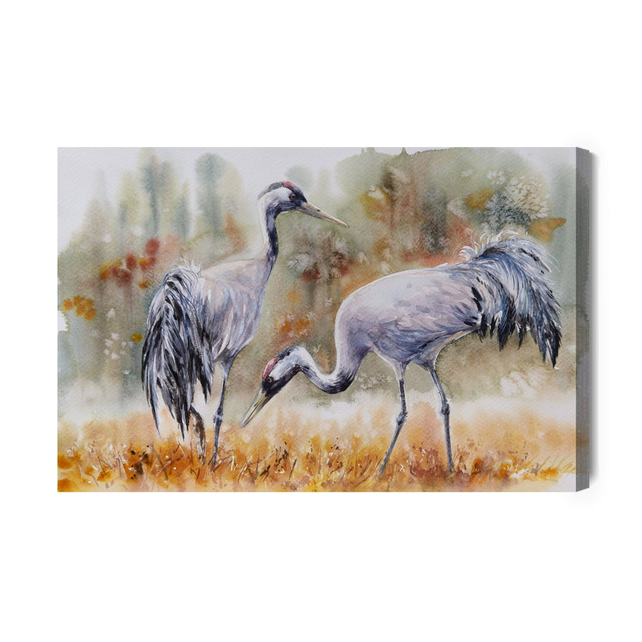 Kanva - Dzērves laukā, N-810 X-ART