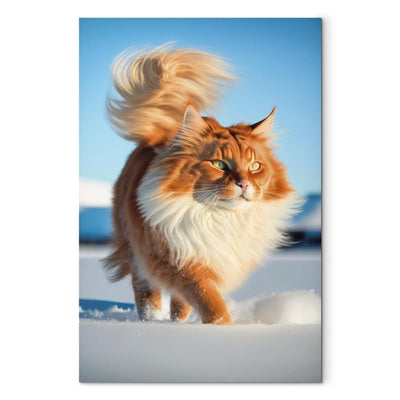 Kanva - Garspalvainais kaķis staigā pa sniegu, 150108 G-ART