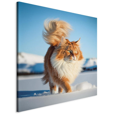 Glezna - Garspalvainais kaķis staigā pa sniegu, 150150 Tapetenshop.lv