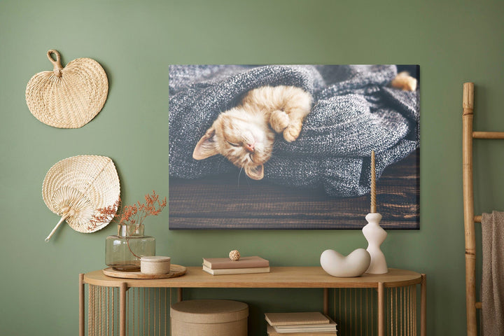 Kanva - Guļošs sarkans kaķēns, N-1434 X-ART