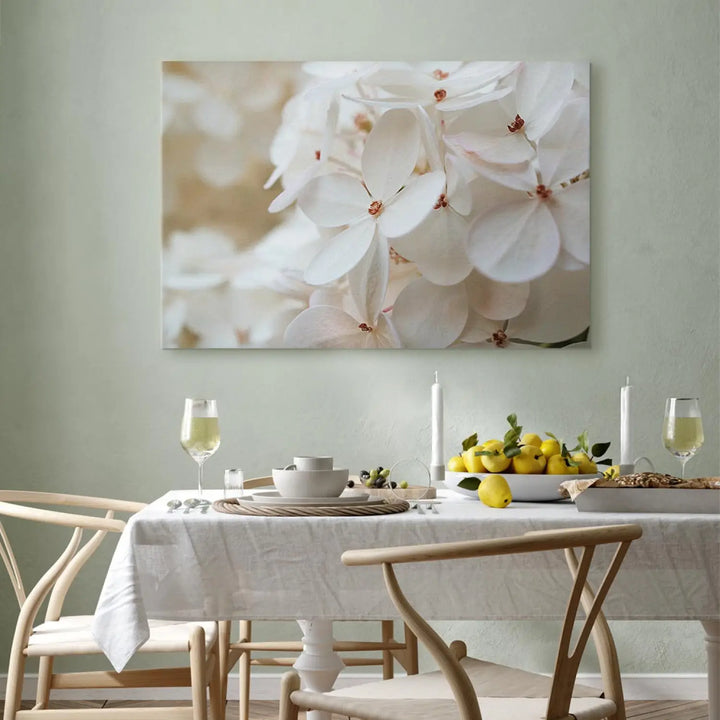Canva Snow White Hydrangea (x 1)