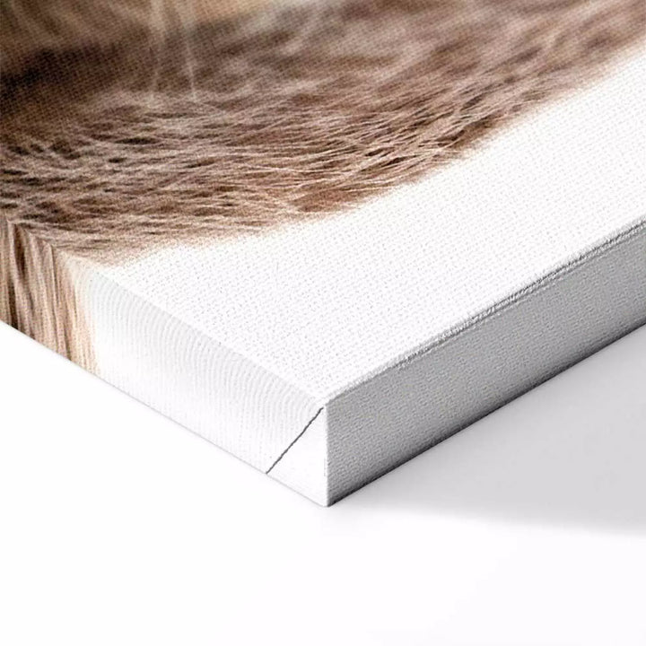 Kanva - Jenots uz balta fona, (x 1), 114953 ART XL