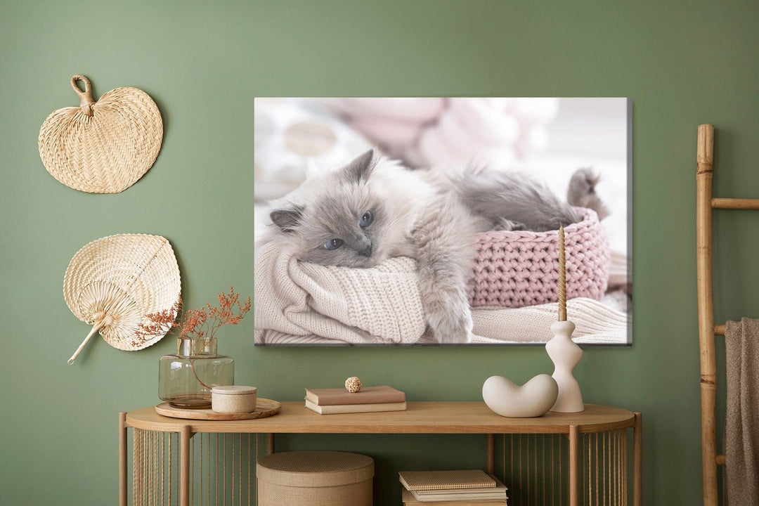 Kanva - Kaķis ar adītu segumu, N-1453 X-ART