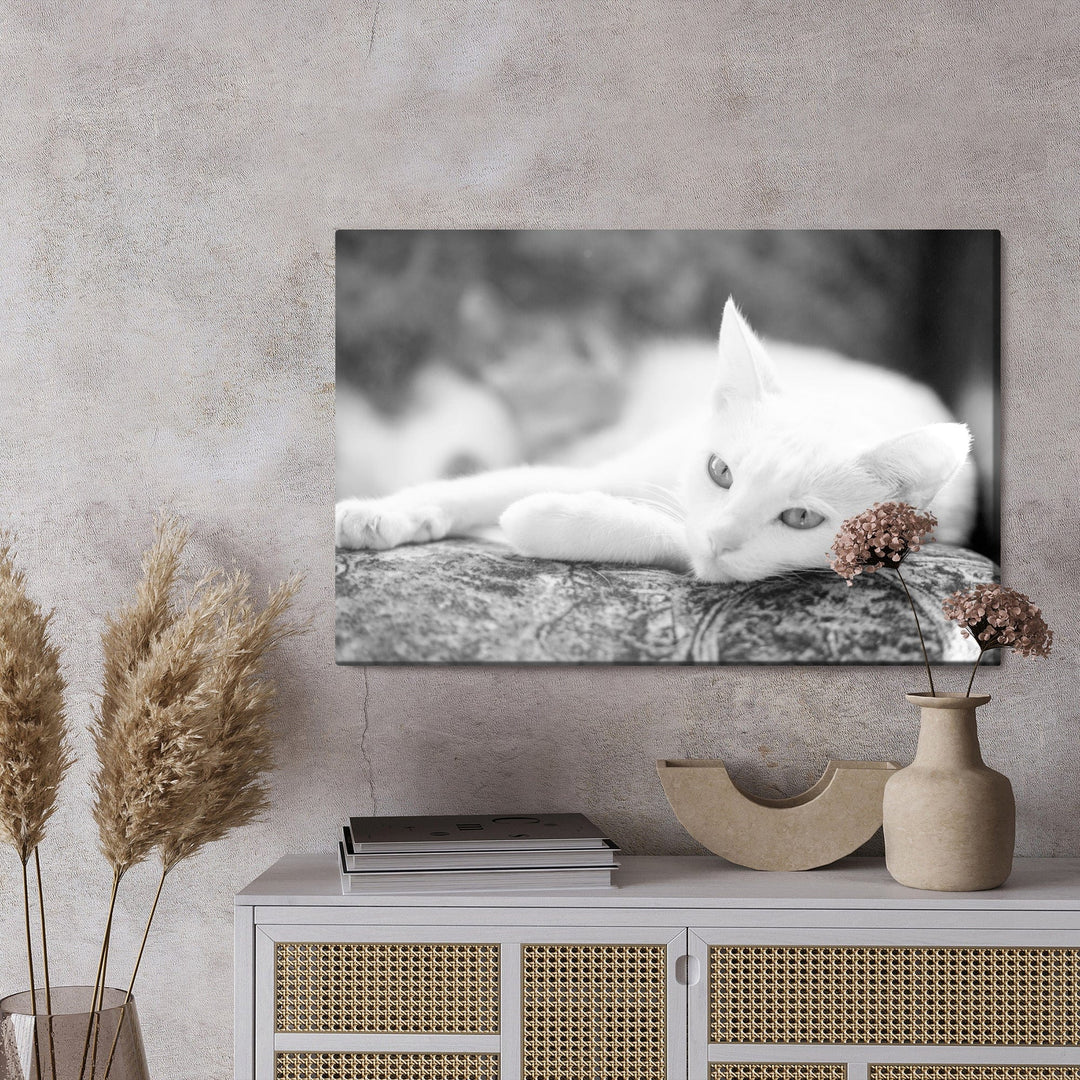 Kanva - Kaķis atpūšas, N-1430 X-ART