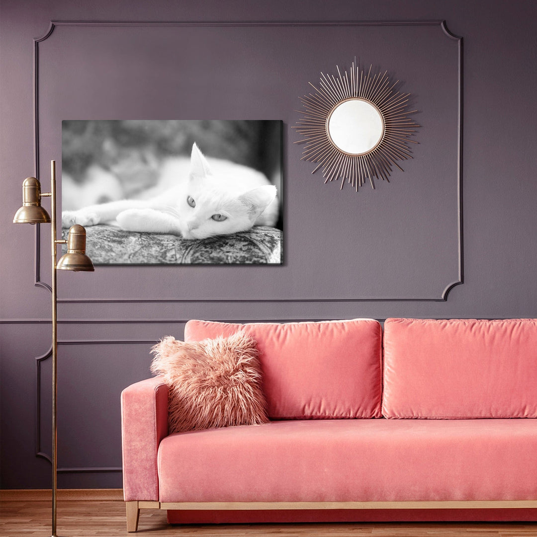 Kanva - Kaķis atpūšas, N-1430 X-ART