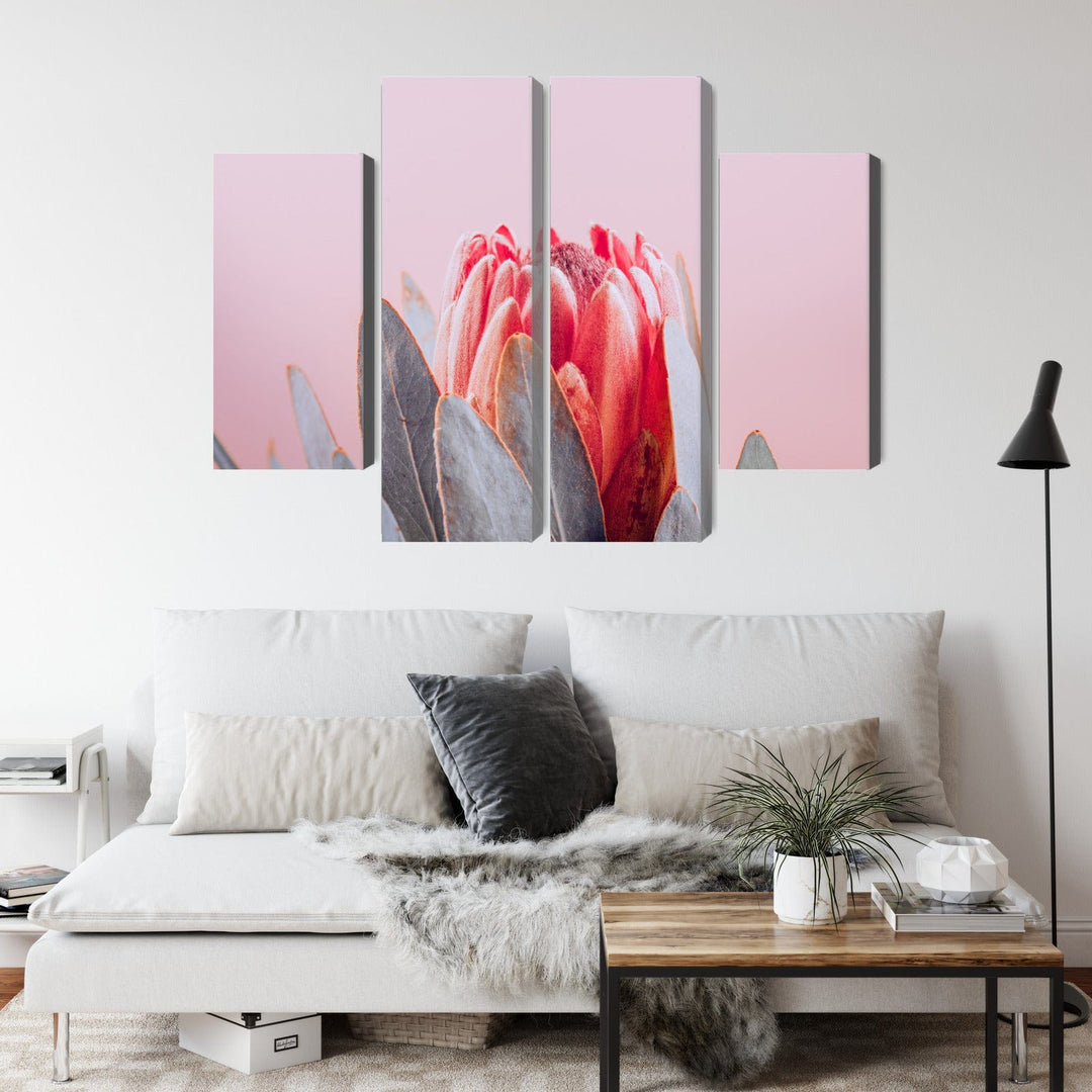 Kanva - Karaliskās protejas zieds Tuvplānā, N-4246 X-ART