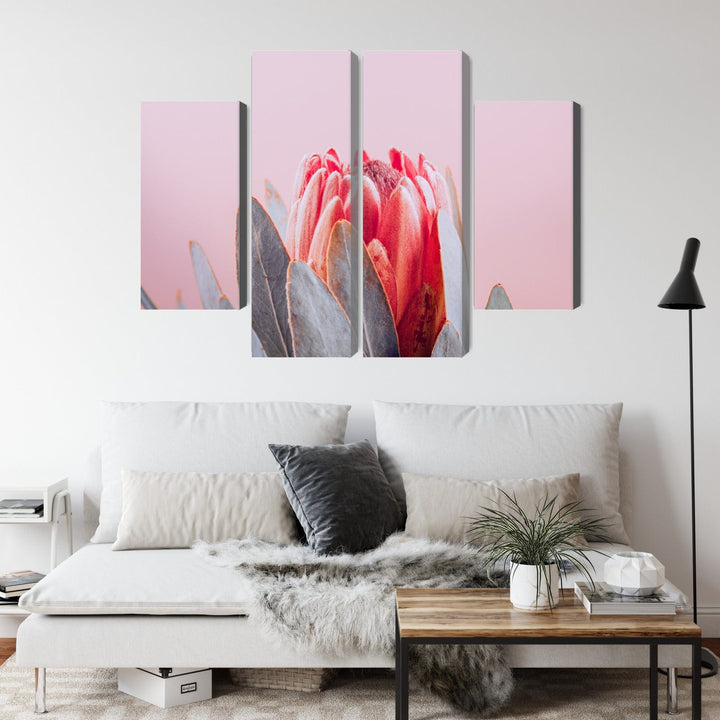 Kanva - Karaliskās protejas zieds Tuvplānā, N-4246 X-ART