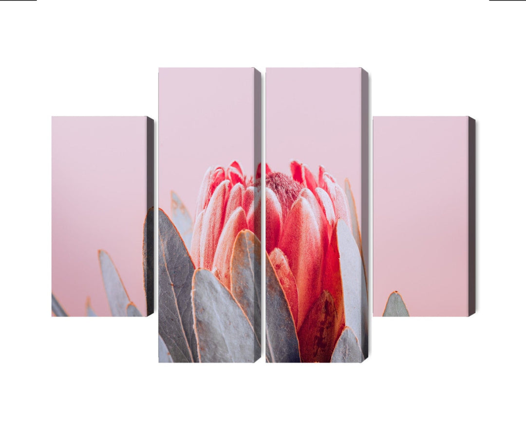 Kanva - Karaliskās protejas zieds Tuvplānā, N-4246 X-ART