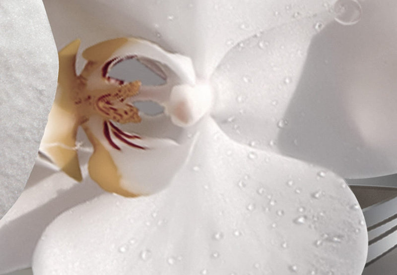 Kanva - kompozīcija ar baltam orhidejām, pērlēm un dimantiem, 146445 G-ART