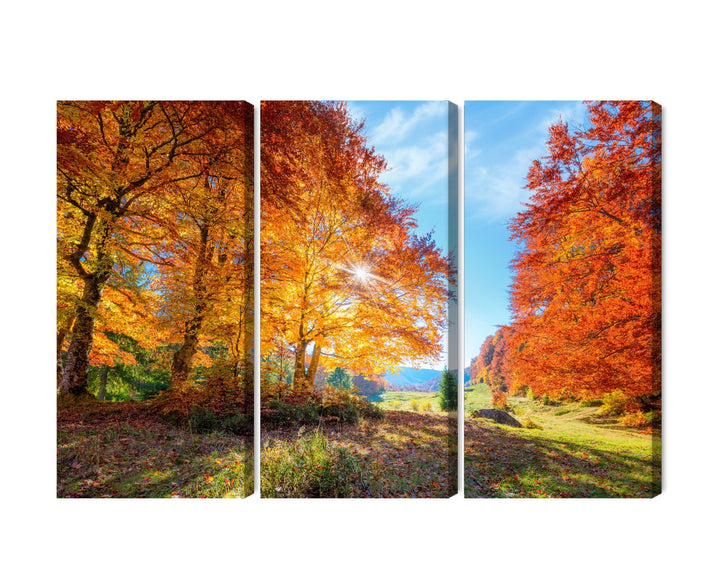 Kanva - Krāsaini rudens koki, N-1914 X-ART