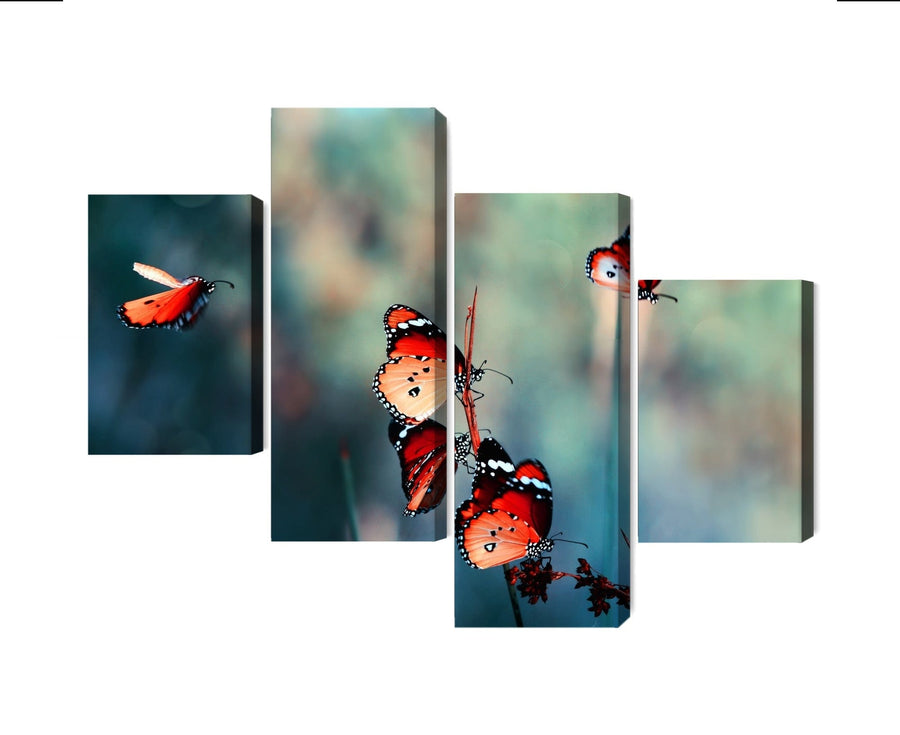 Kanva: Krāsaini tauriņi makro mērogā X-ART