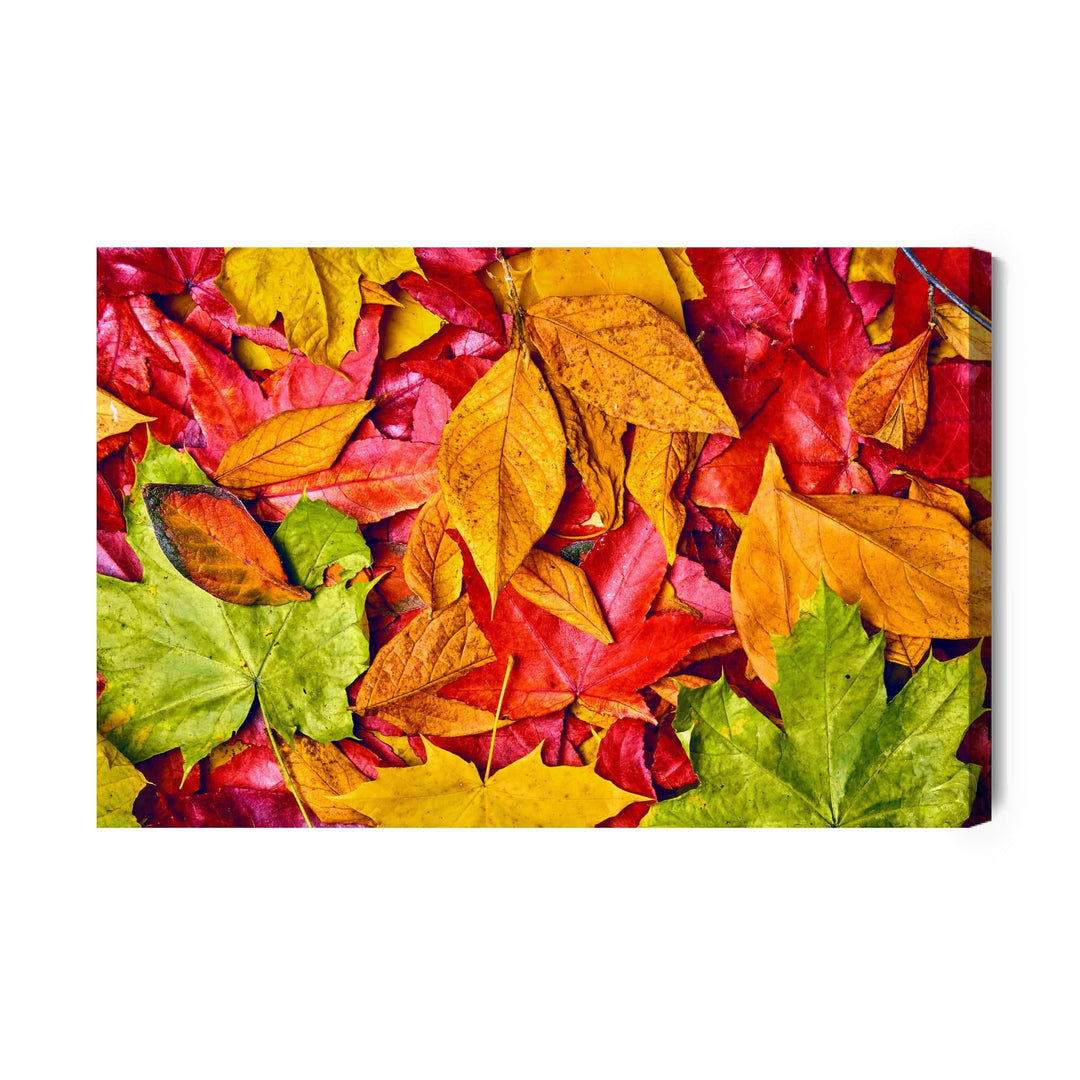 Kanva - Lapas rudens krāsās, N-1618 X-ART