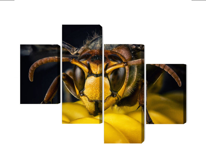 Kanva: Lapseņe makro mērogā, dzeltena X-ART