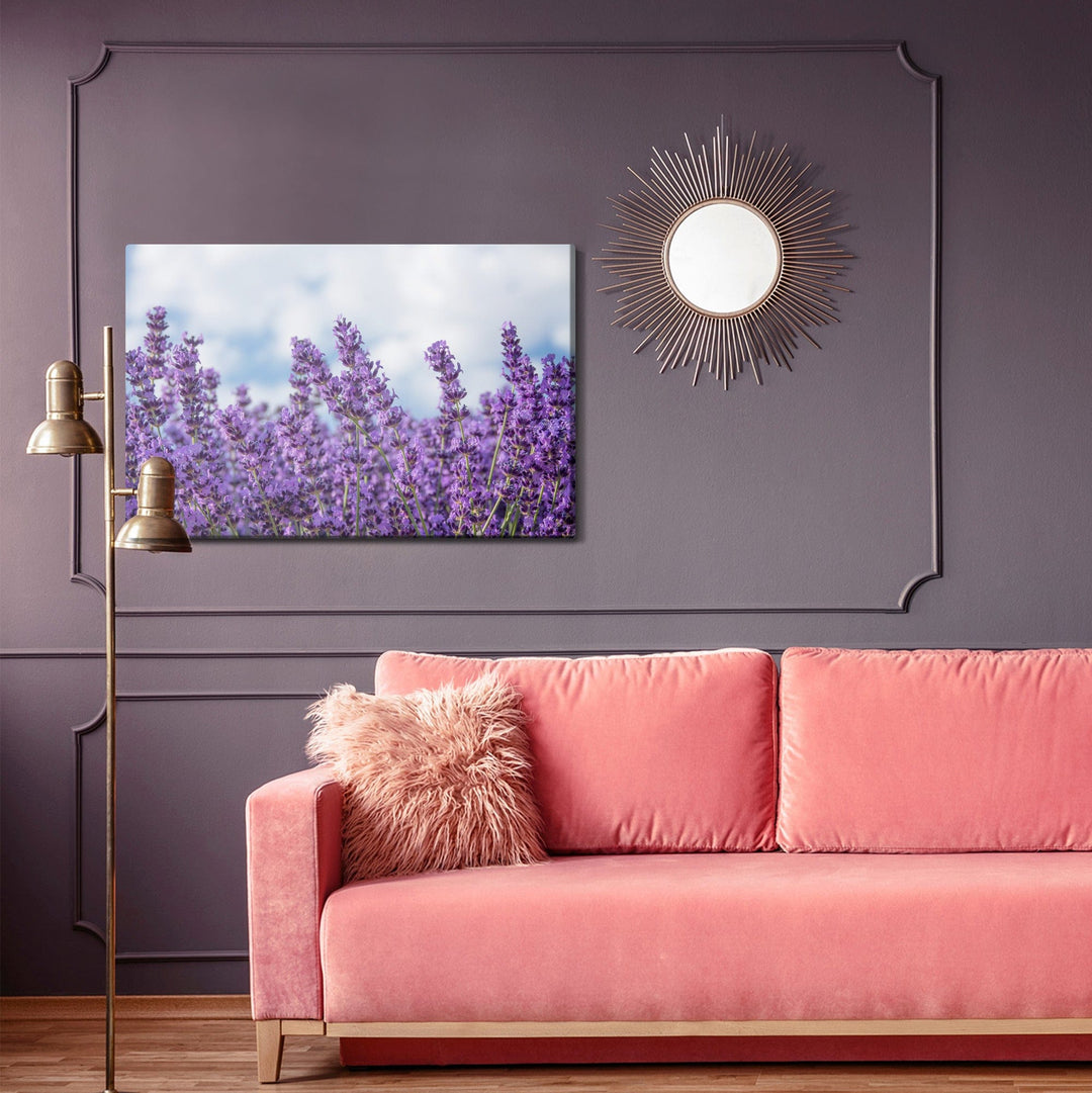 Kanva - Lavanda pret debesīm, N-1464 X-ART