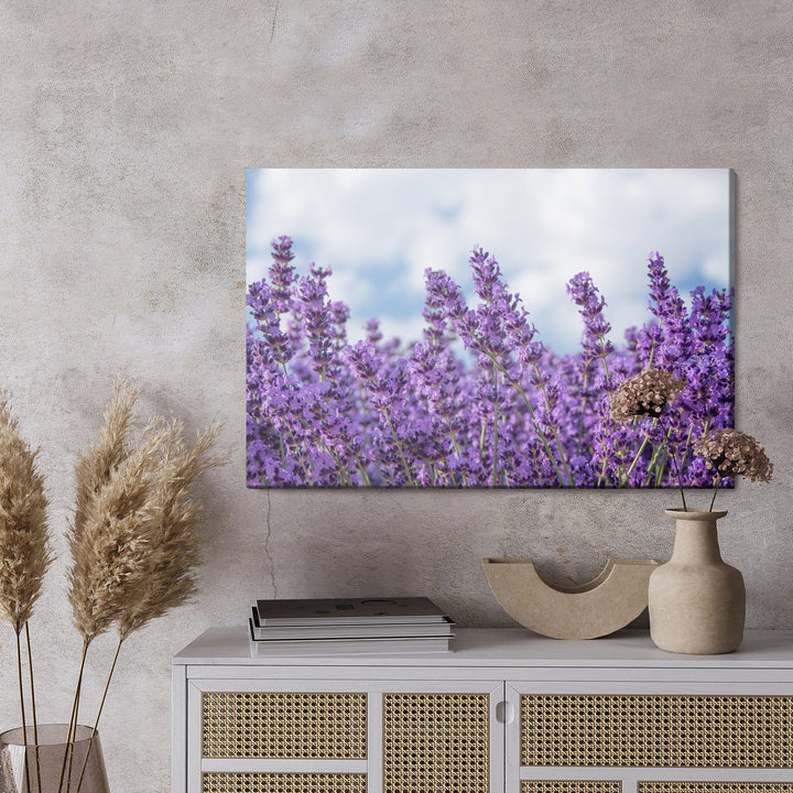 Kanva - Lavanda pret debesīm, N-1464 X-ART