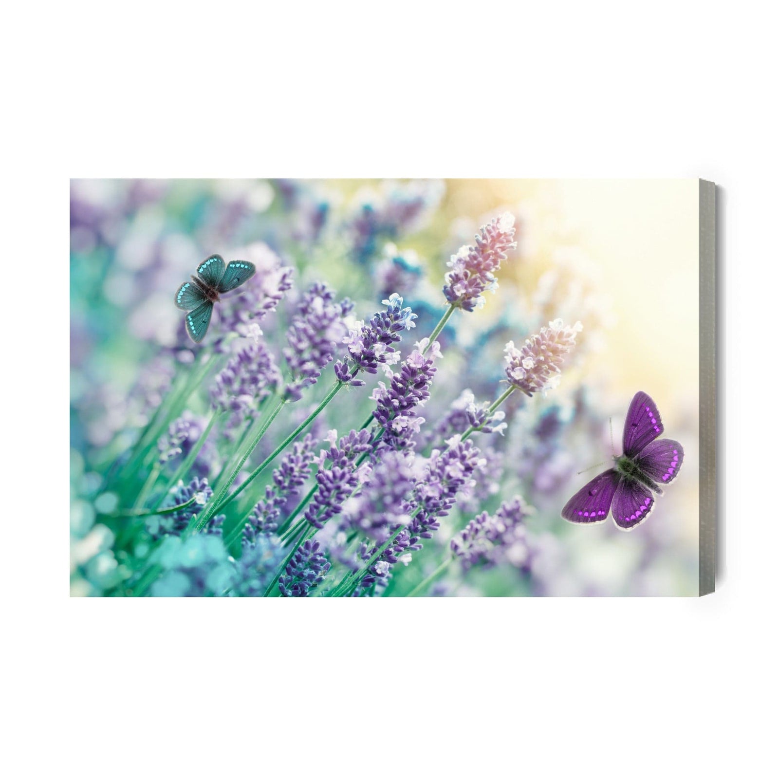 Kanva - Lavanda un tauriņi, N-211 X-ART