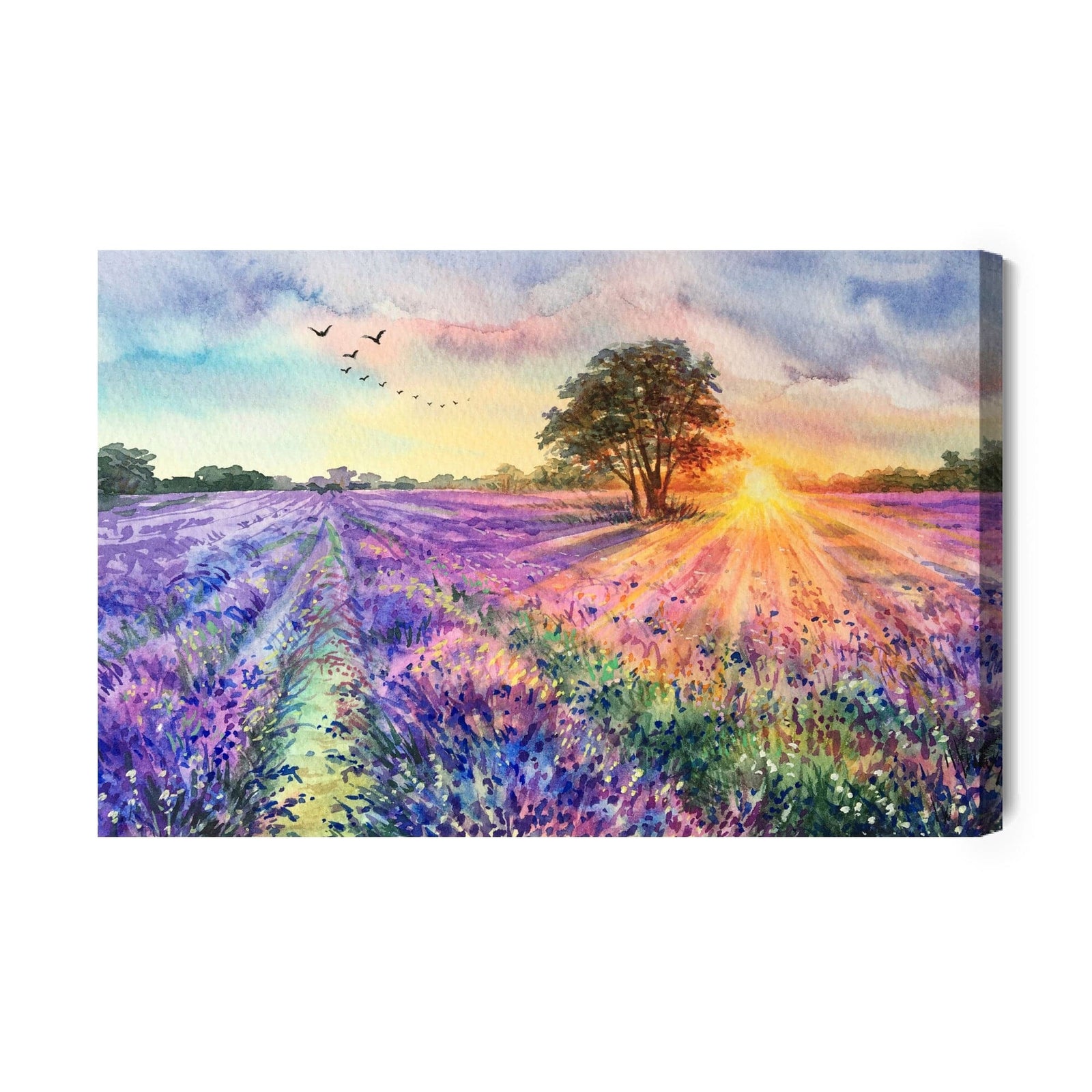 Kanva - Lavandas ainava, gleznota ar akvareļu krāsām, N-1500 X-ART