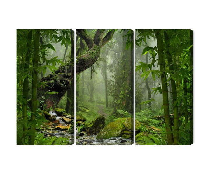 Kanva - Lietus meža zaļums, N-1979 X-ART