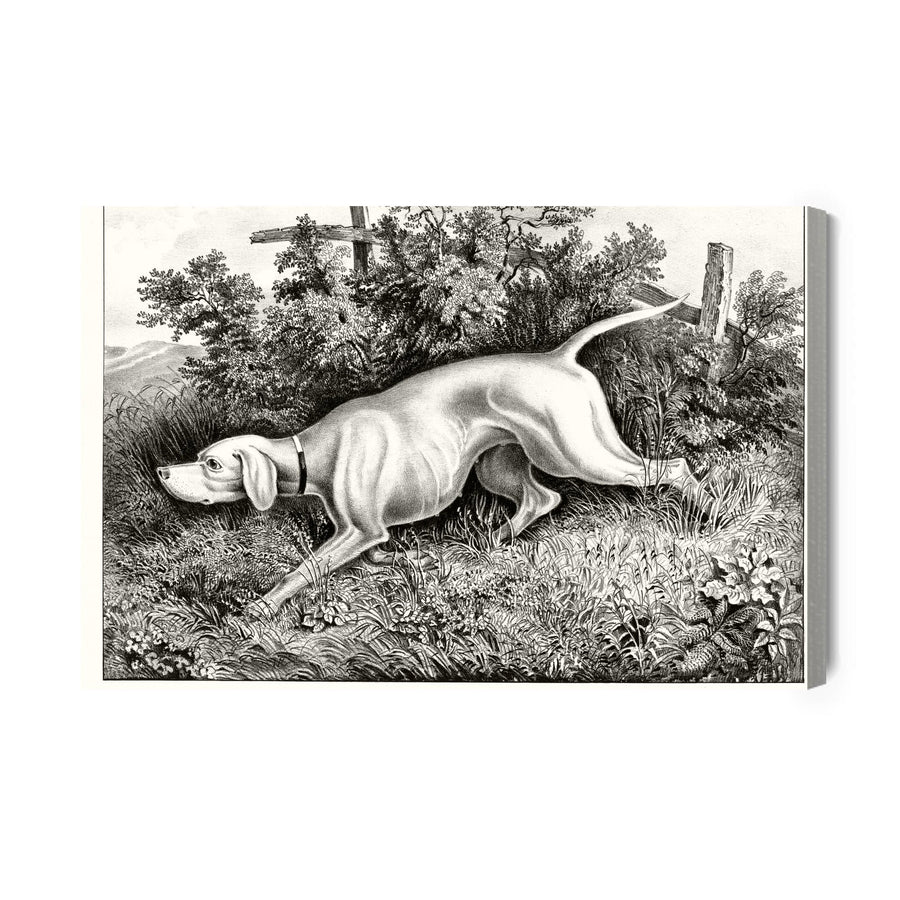 Kanva - Medību suns X-ART