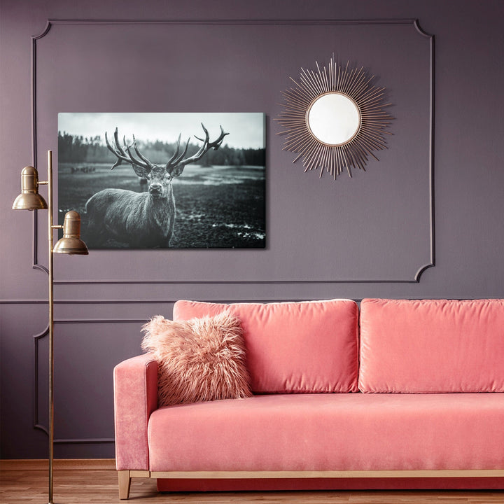 Kanva - Melna un balta brieža, N-981 X-ART