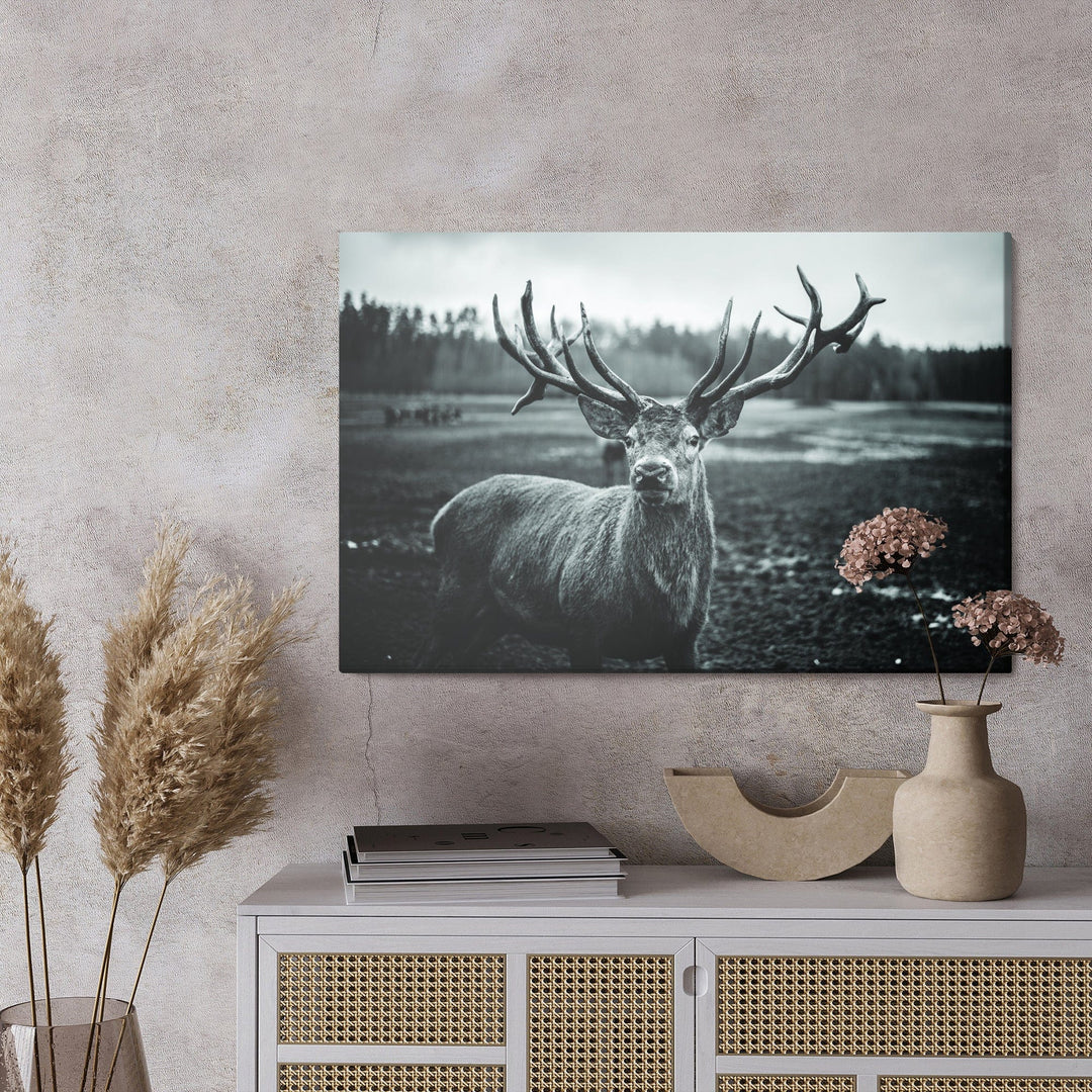 Kanva - Melna un balta brieža, N-981 X-ART