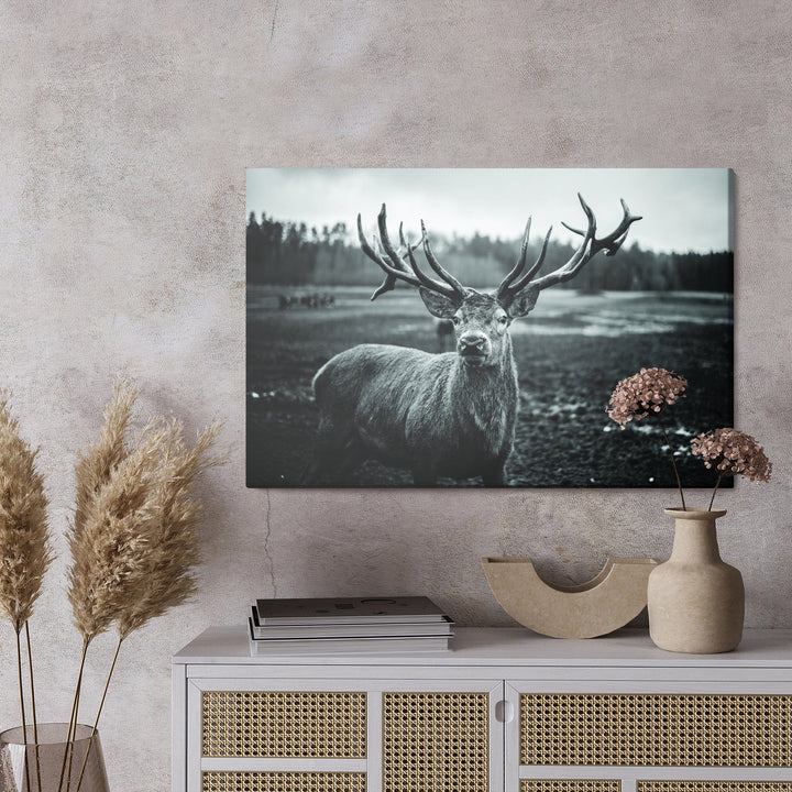 Kanva - Melna un balta brieža, N-981 X-ART