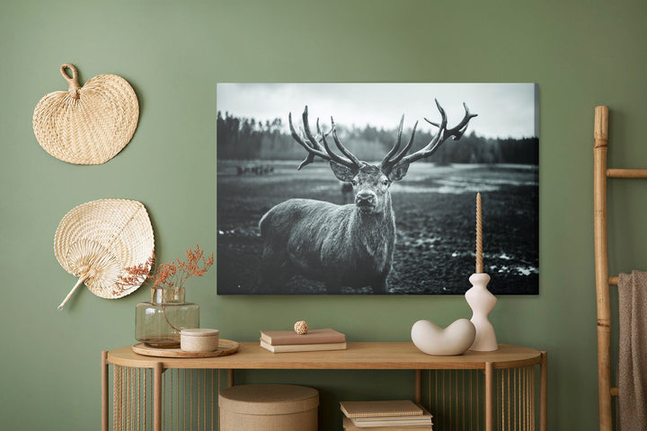 Kanva - Melna un balta brieža, N-981 X-ART