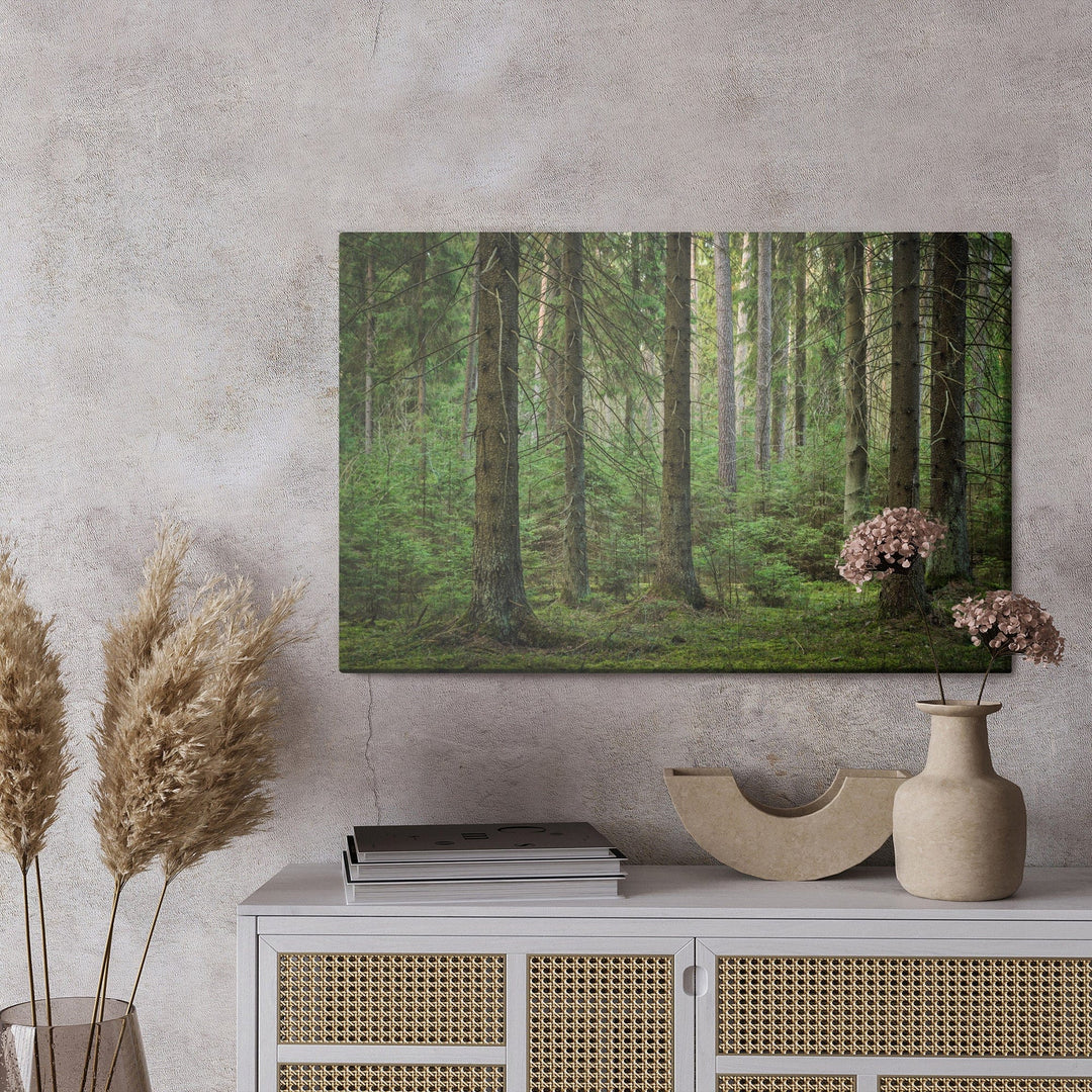 Kanva - Meža 3D skats, N-1179 X-ART