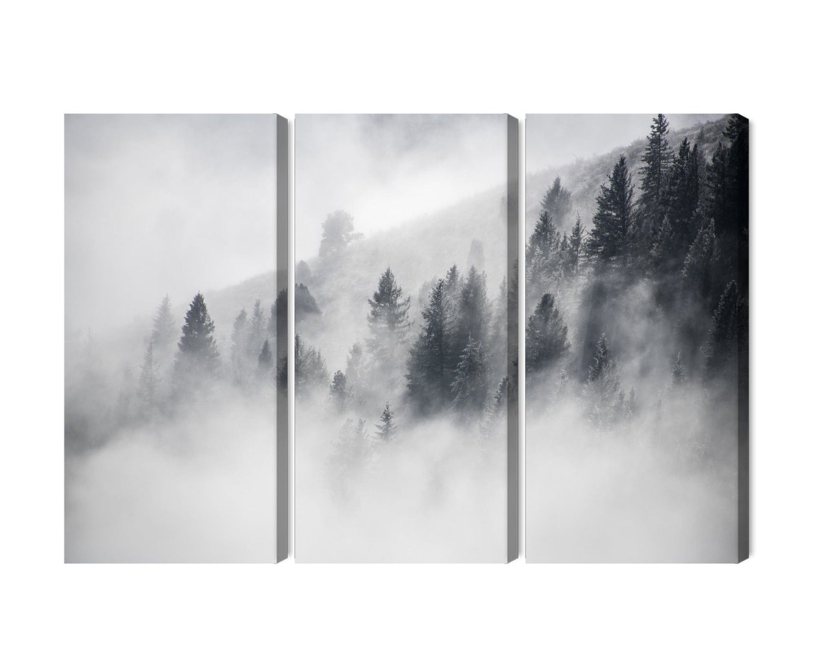 Kanva - Mežs ir apklāts ar miglu, N-1934 X-ART