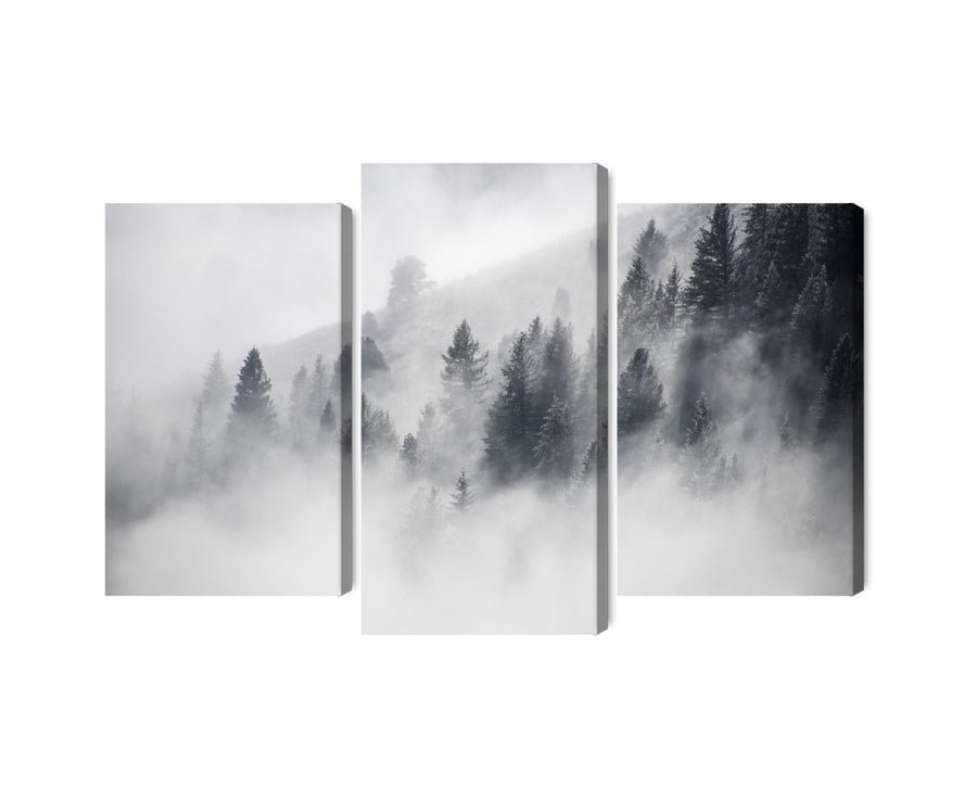 Kanva - Mežs ir apklāts ar miglu, N-1935 X-ART