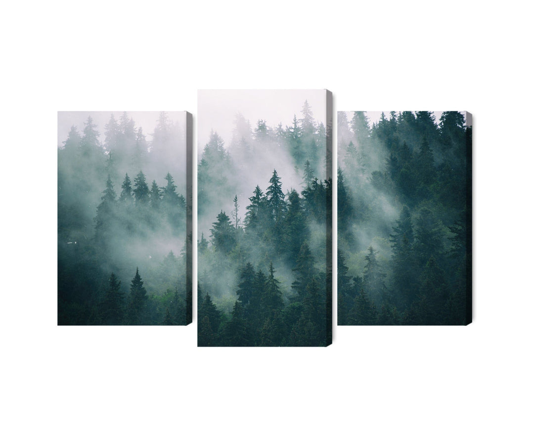 Kanva - Migla zaļā mežā, N-1842 X-ART