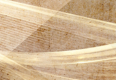 Glezna - Moderna abstrakcija - Tuksneša vējš, 143512 Tapetenshop.lv