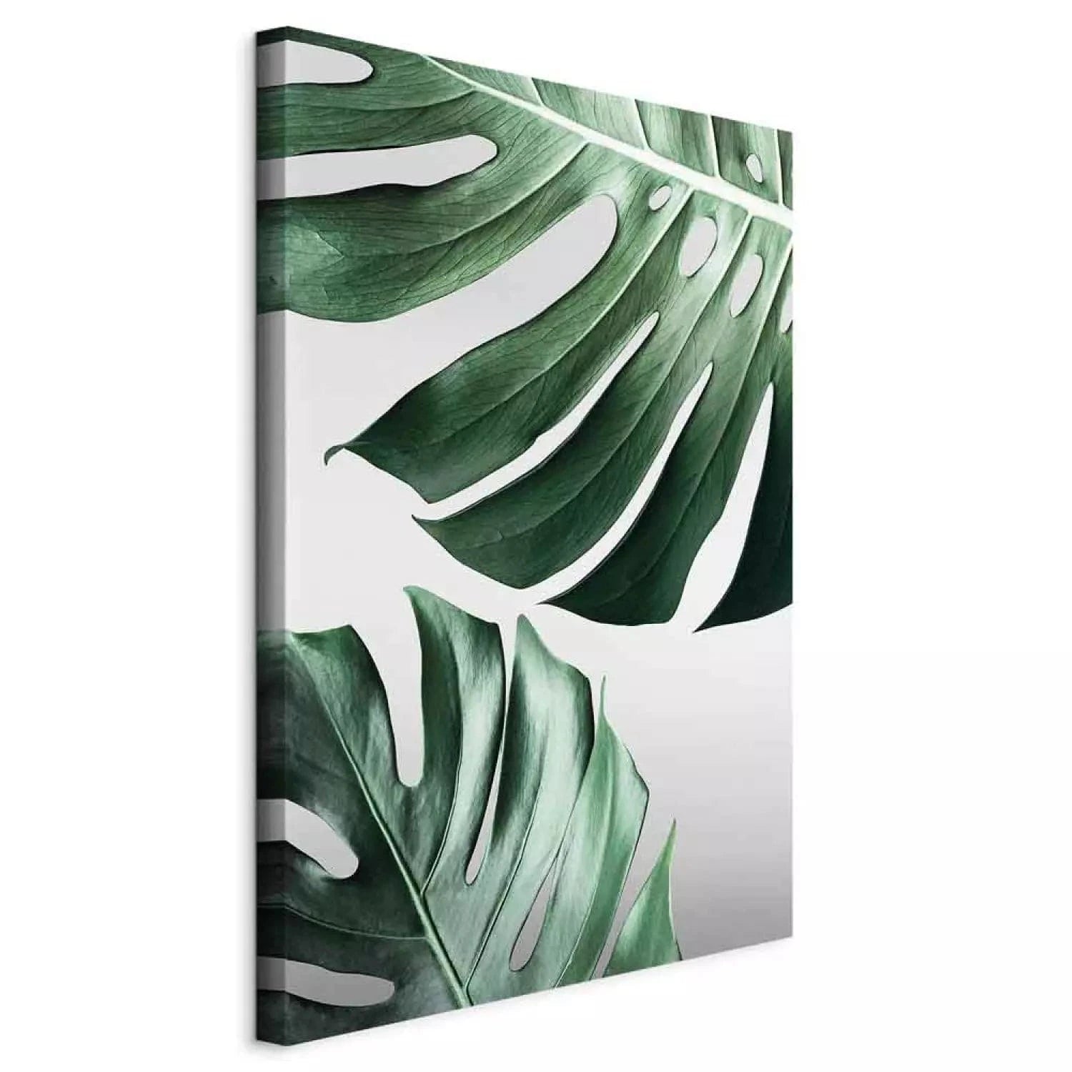 Kanva - Monstera lapas, 117113, zaļas lapas uz gaiši pelēka fona ART XL