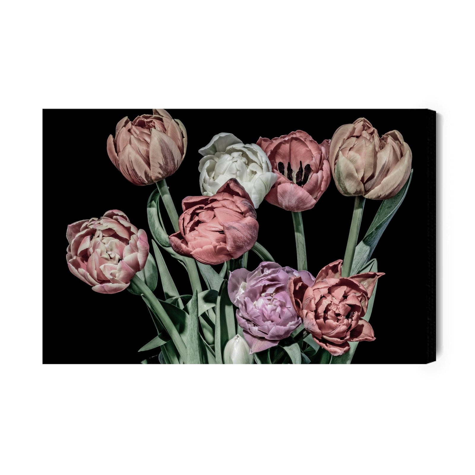 Kanva - Pastelkrāsas tulpes uz melna fona, N-1788 X-ART