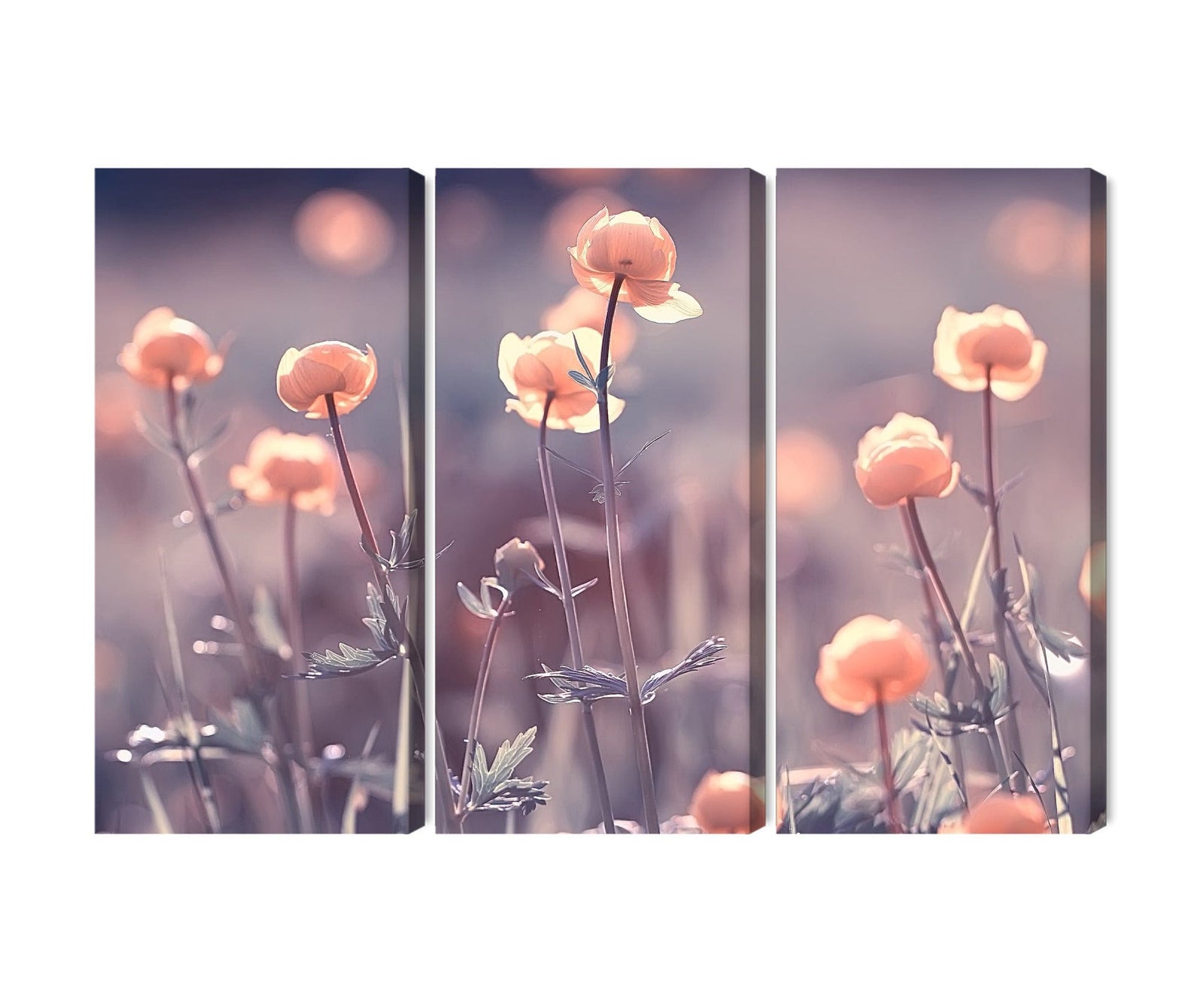 Kanva - Pavasara ziedi, N-4239 X-ART