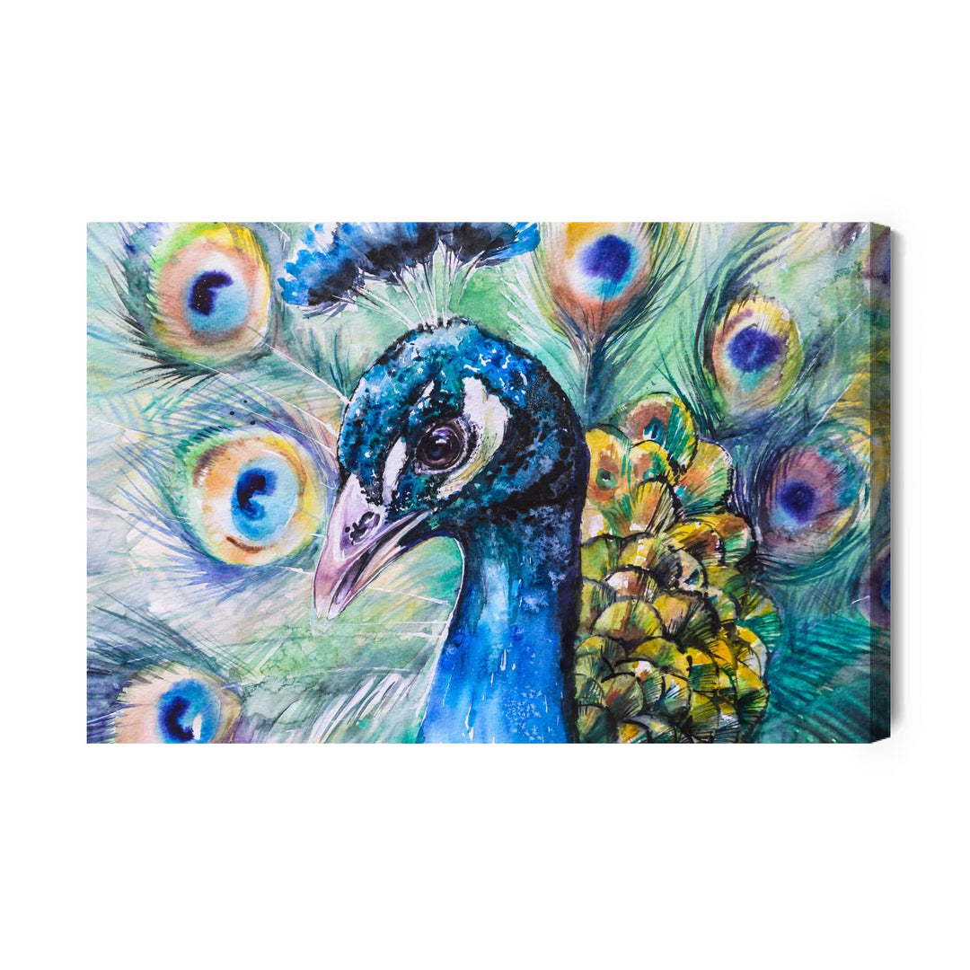 Kanva - Pāvs ar krāsainām spalvām, N-808 X-ART