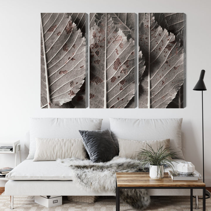 3 daļu kanva: Pelēkas lapas makro, horizontāla X-ART