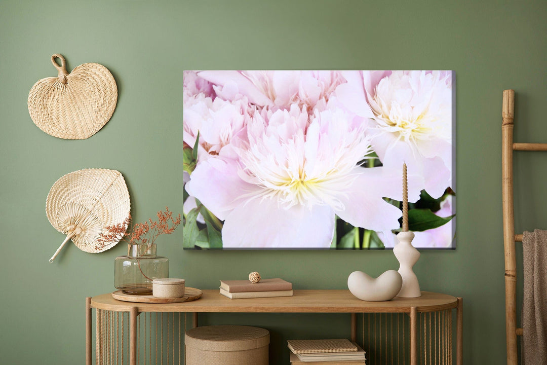 Kanva - Peonijas roze gaiši rozā krāsā, N-283 X-ART