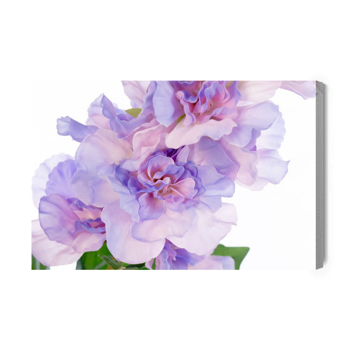 Kanva - Peonijas violetos toņos X-ART