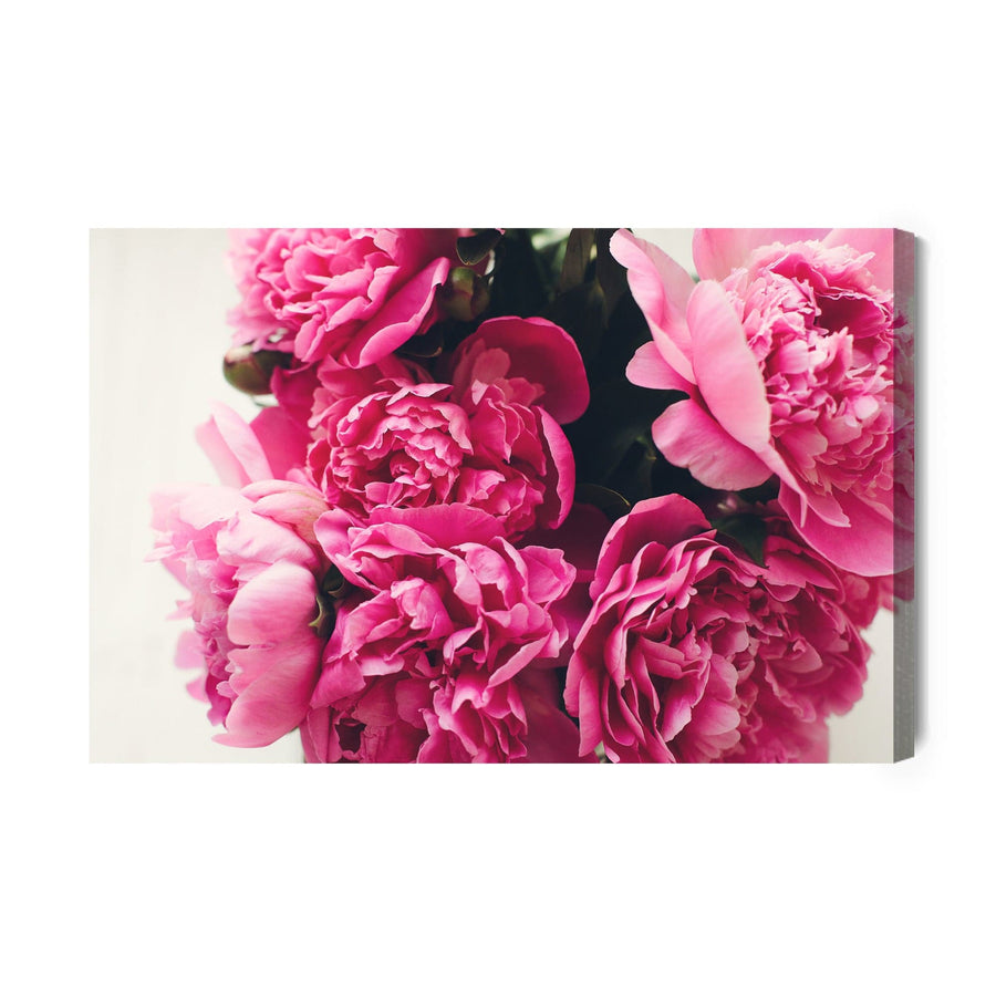 Kanva - Peoniju rožu pušķis, N-277 X-ART